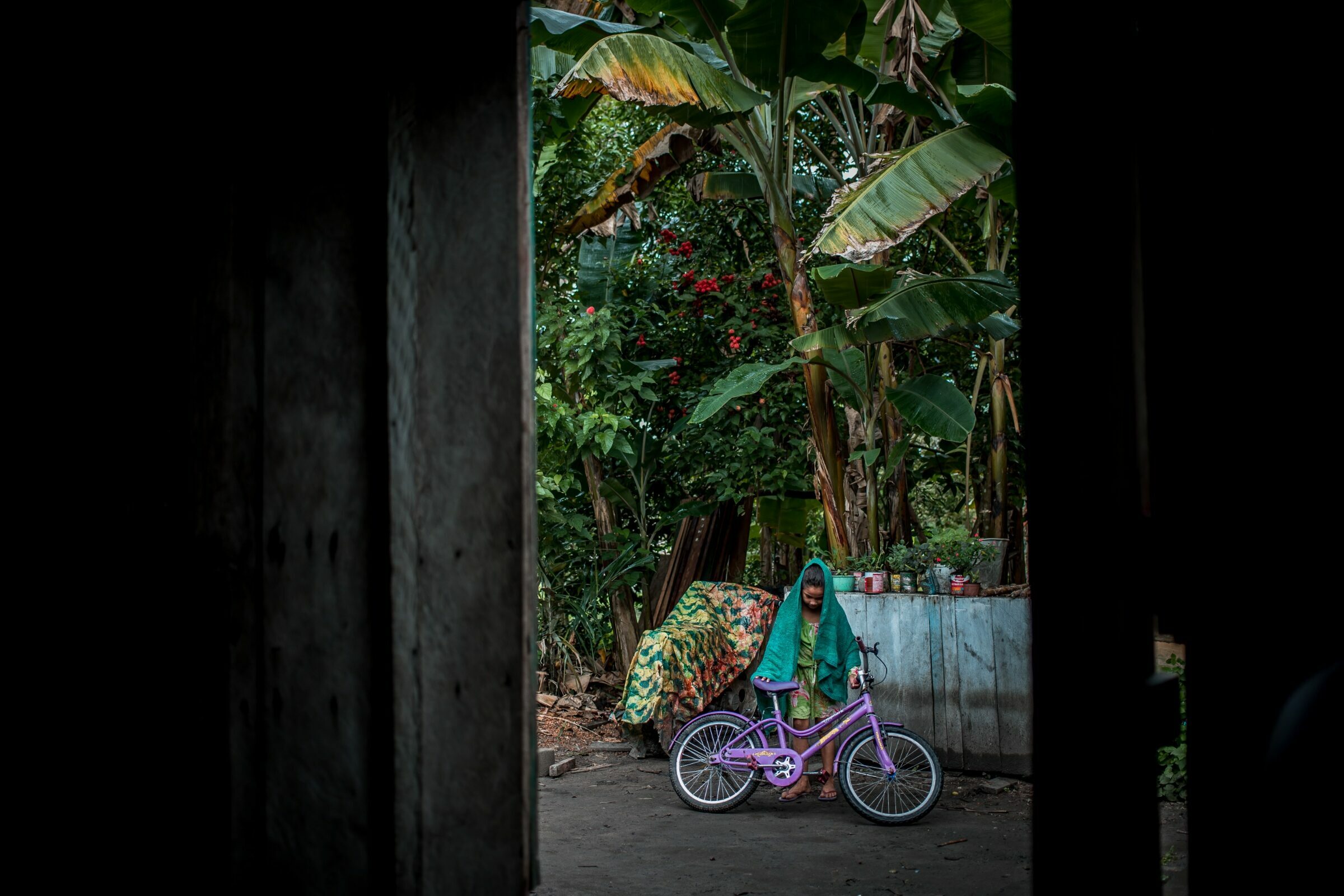 Foto de Aline Fidelix  15