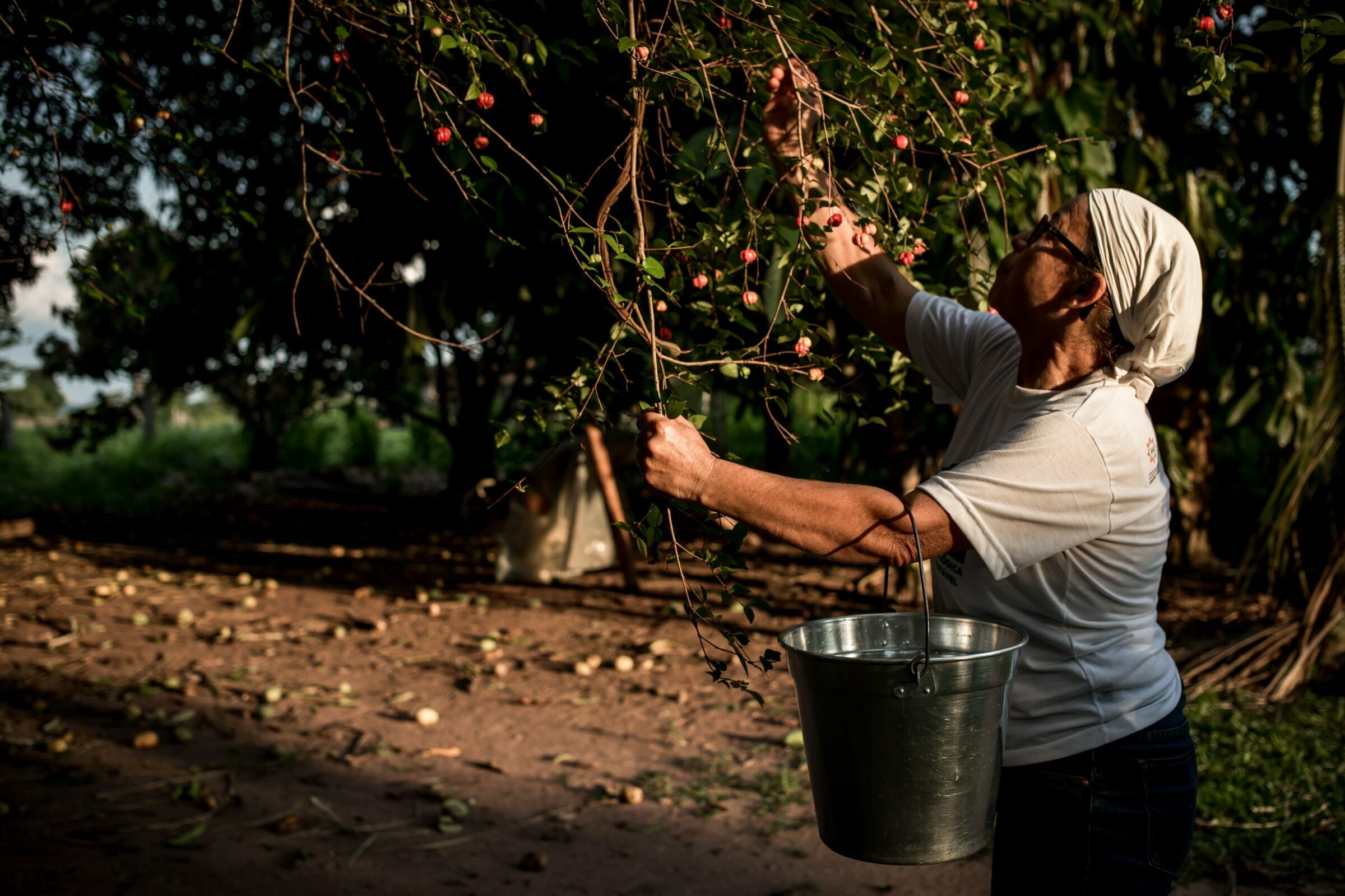Foto de Aline Fidelix  14
