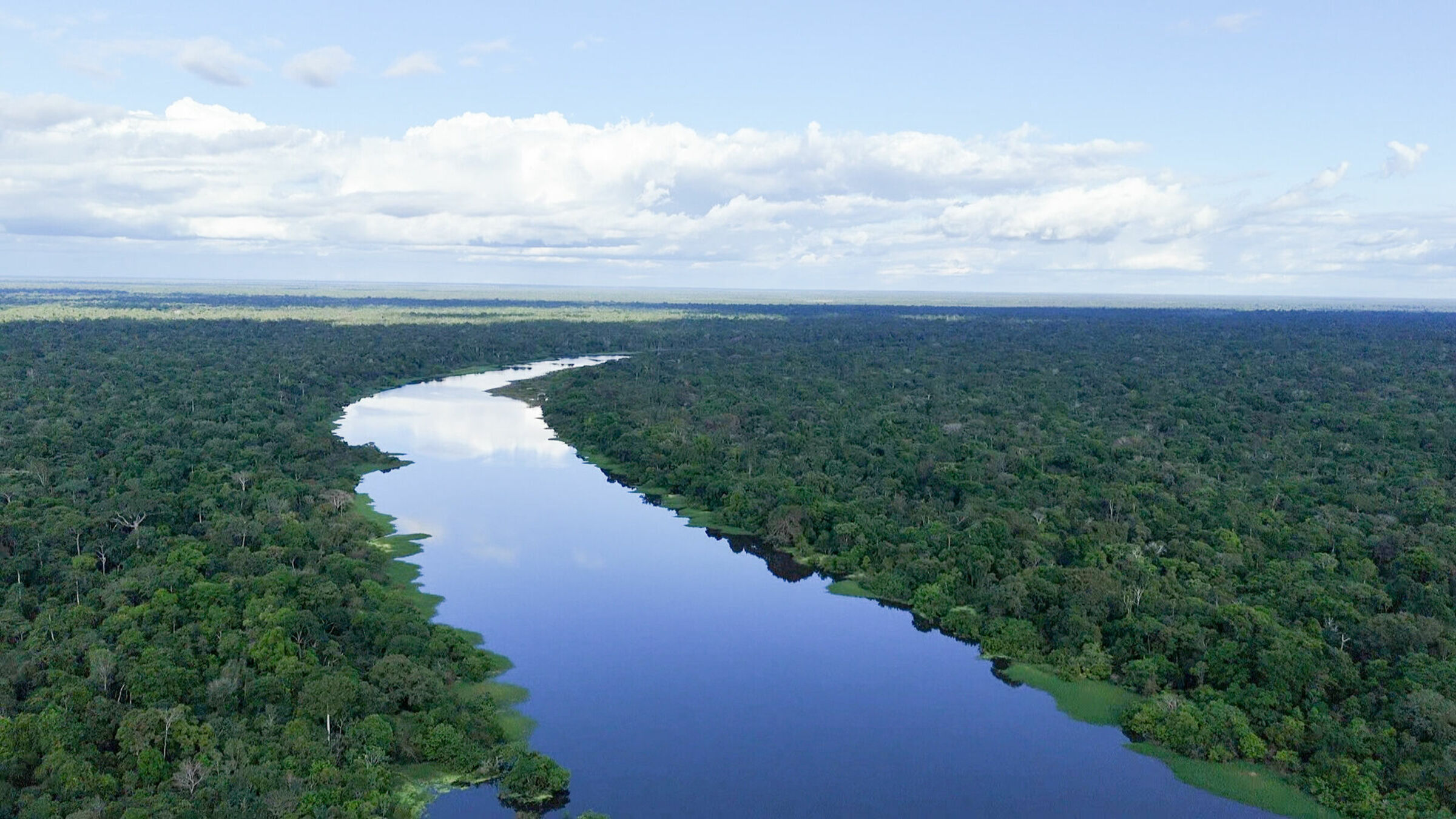 Foto de Aline Fidelix  3