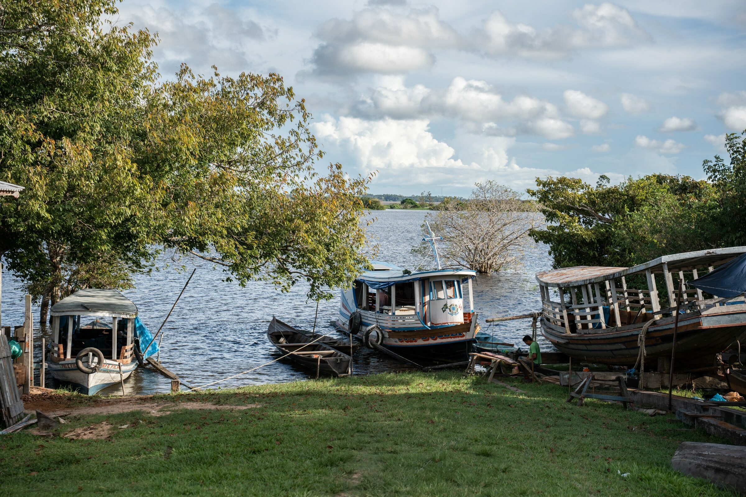Foto de Aline Fidelix  1