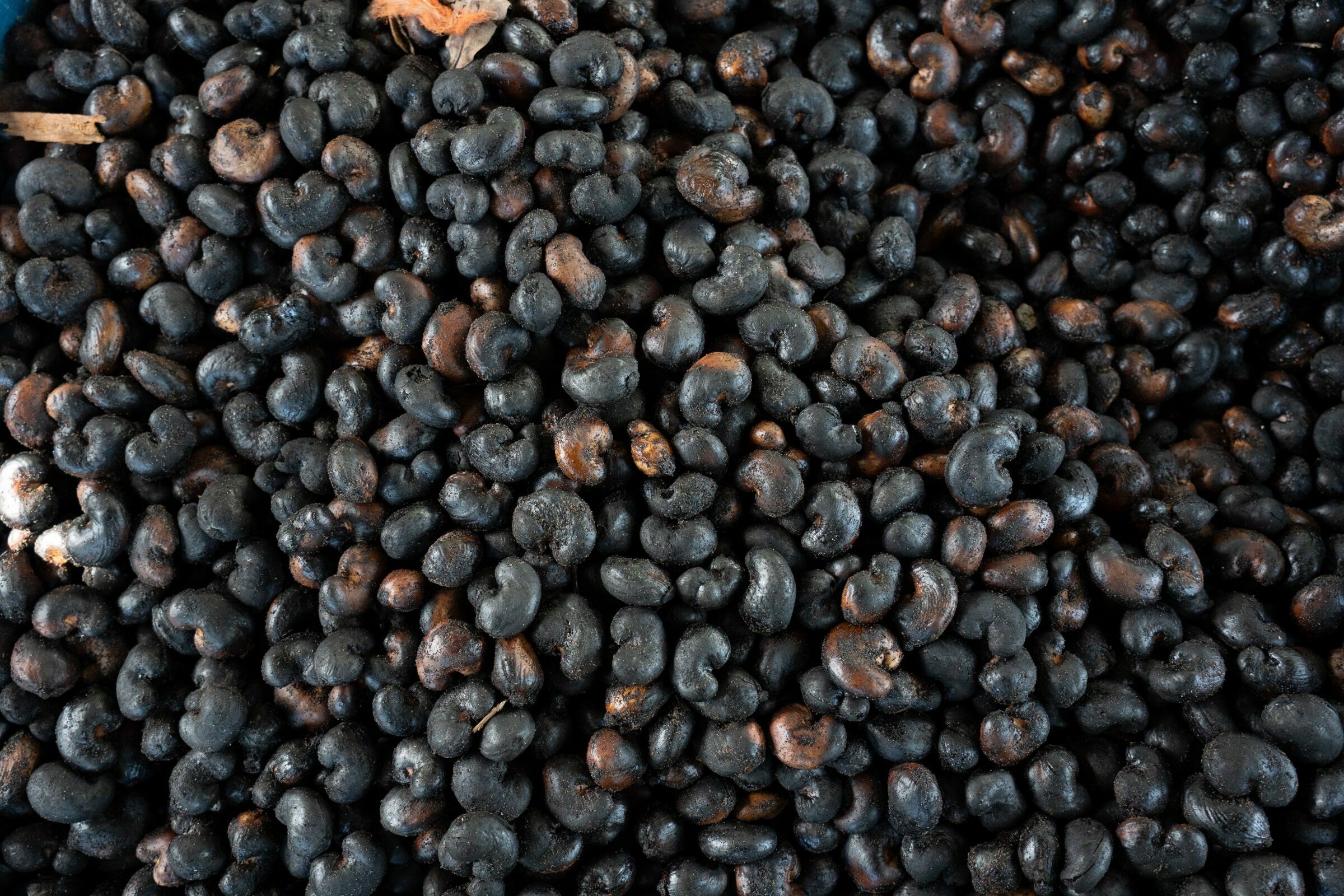 Foto de Aline Fidelix  2