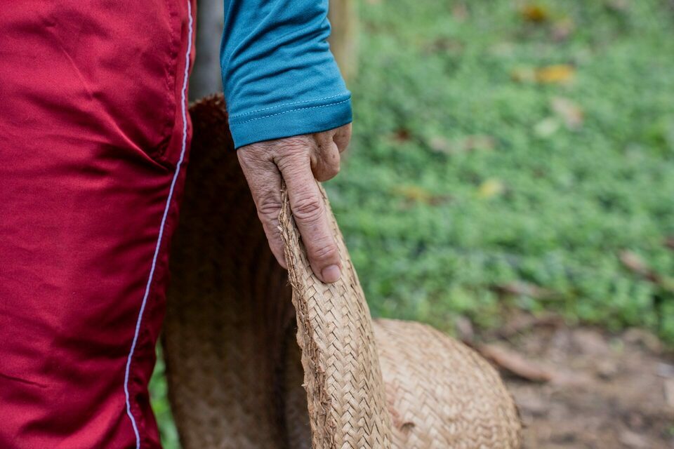 Agroecologia na Amazônia 